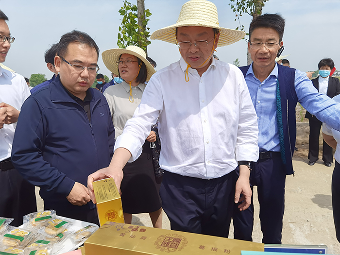 湖北省農業廳廳長吳祖云，鐘祥市委書記周軍，在彭墩查看“三夏”農業生產情況