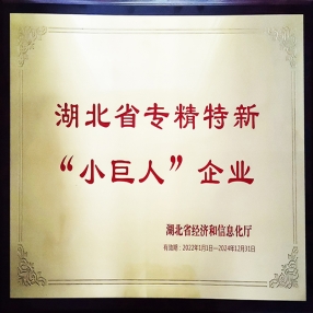 湖北專精特新“小巨人”企業