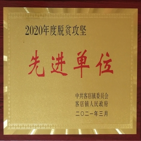 2020年脫貧攻堅先進單位